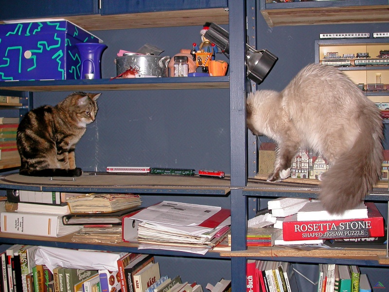 010 Linker Anlagenteil.JPG - Vergangenheit: die enge Kehre Enndingen West